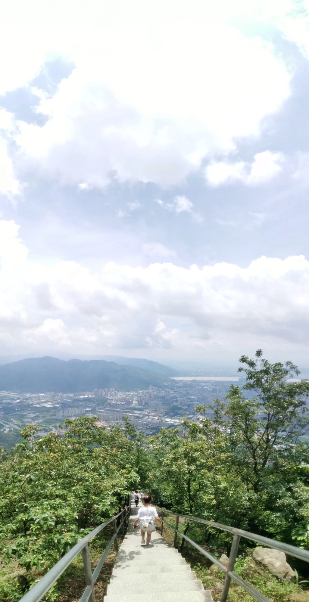 大北山森林公园旅行图片 3