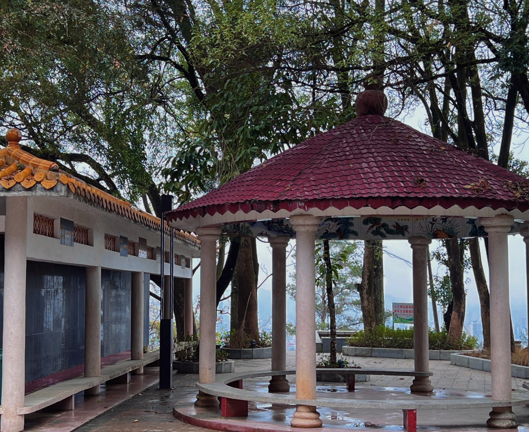 揭西广德庵森林公园旅行图片 3