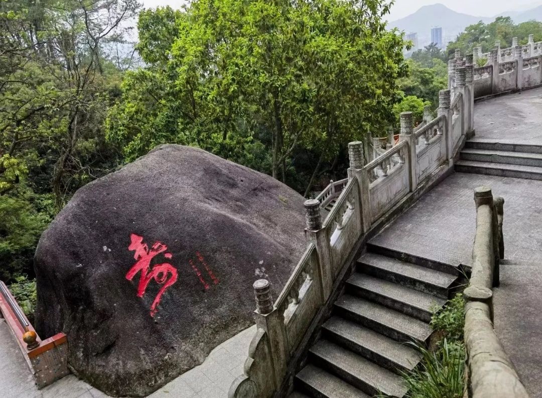 揭西广德庵森林公园旅行图片 3