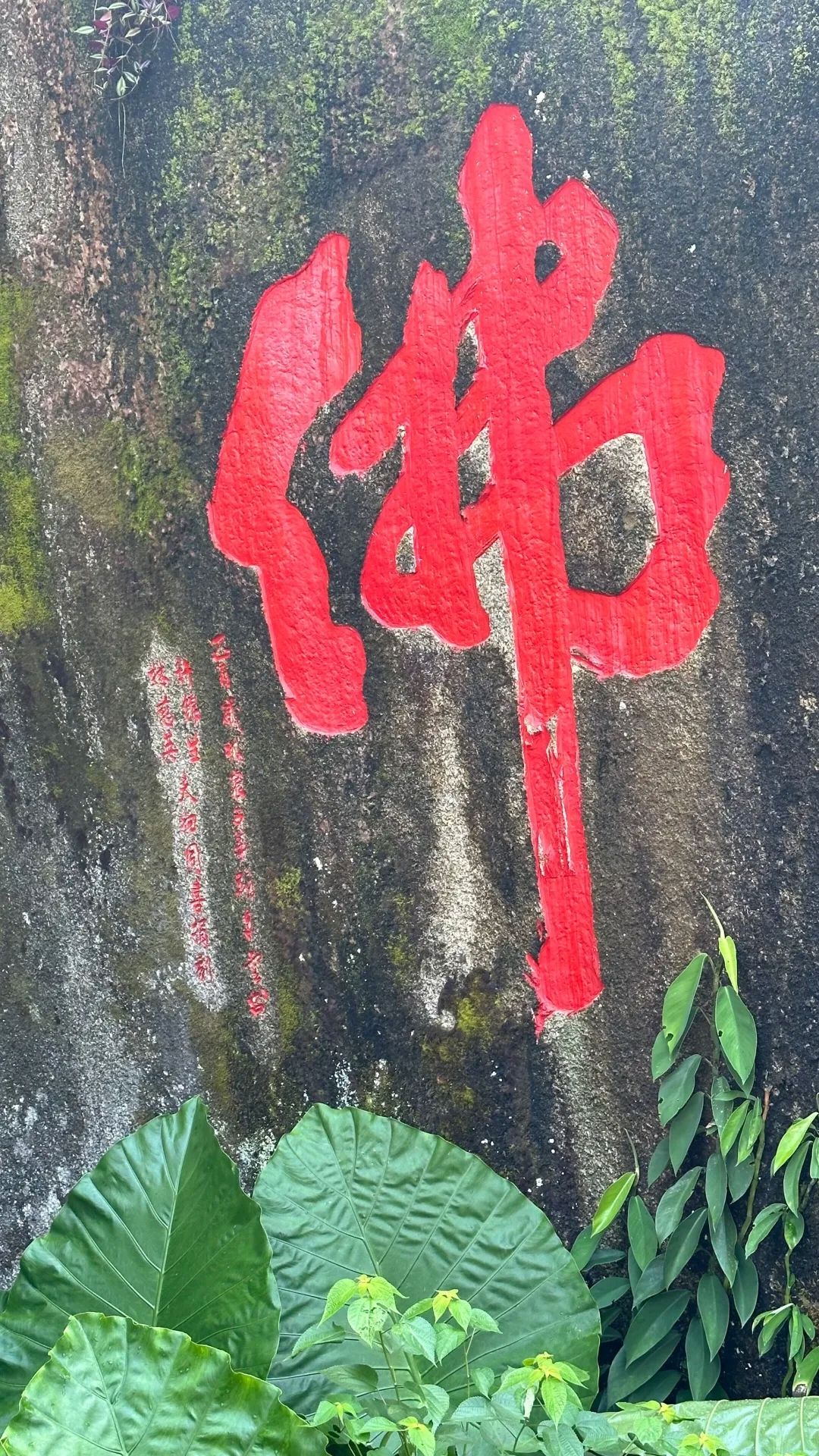 揭西广德庵森林公园旅行图片 3