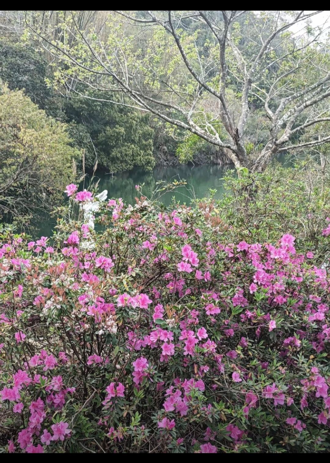 龙山风景旅游区旅行图片 3