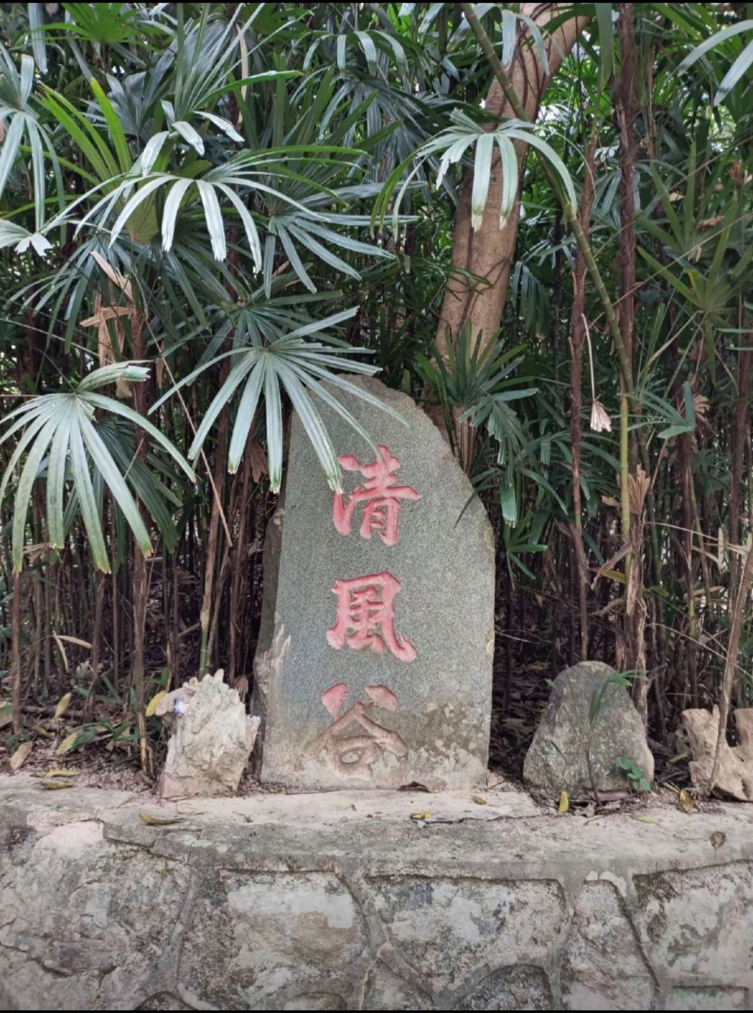 龙山风景旅游区旅行图片 2