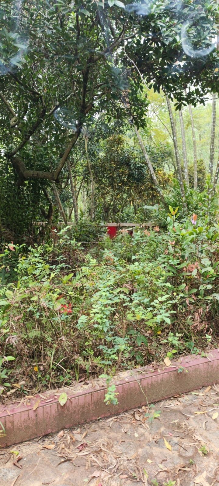 龙山风景旅游区旅行图片 1