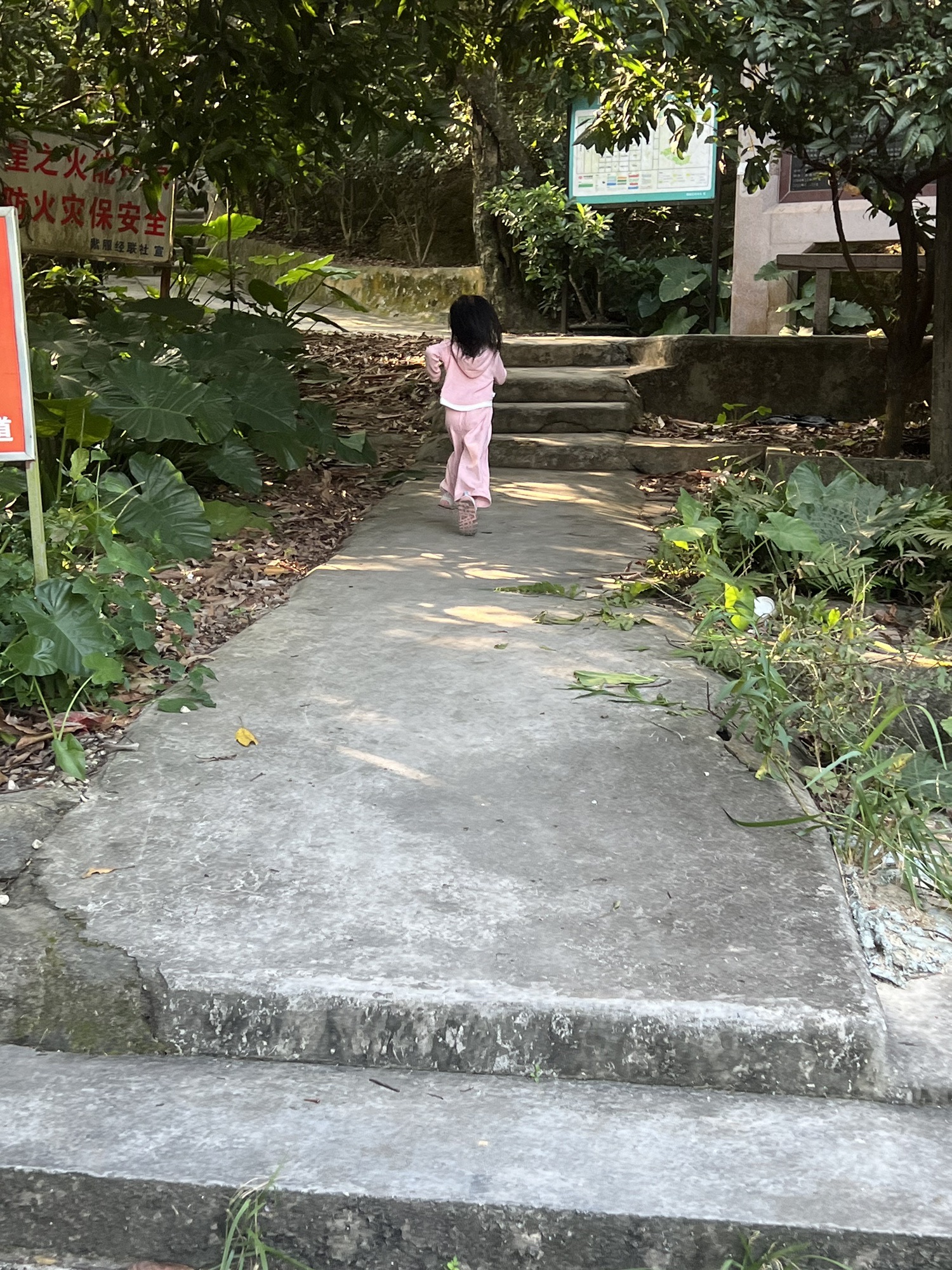 紫陌山风景区旅行图片 1