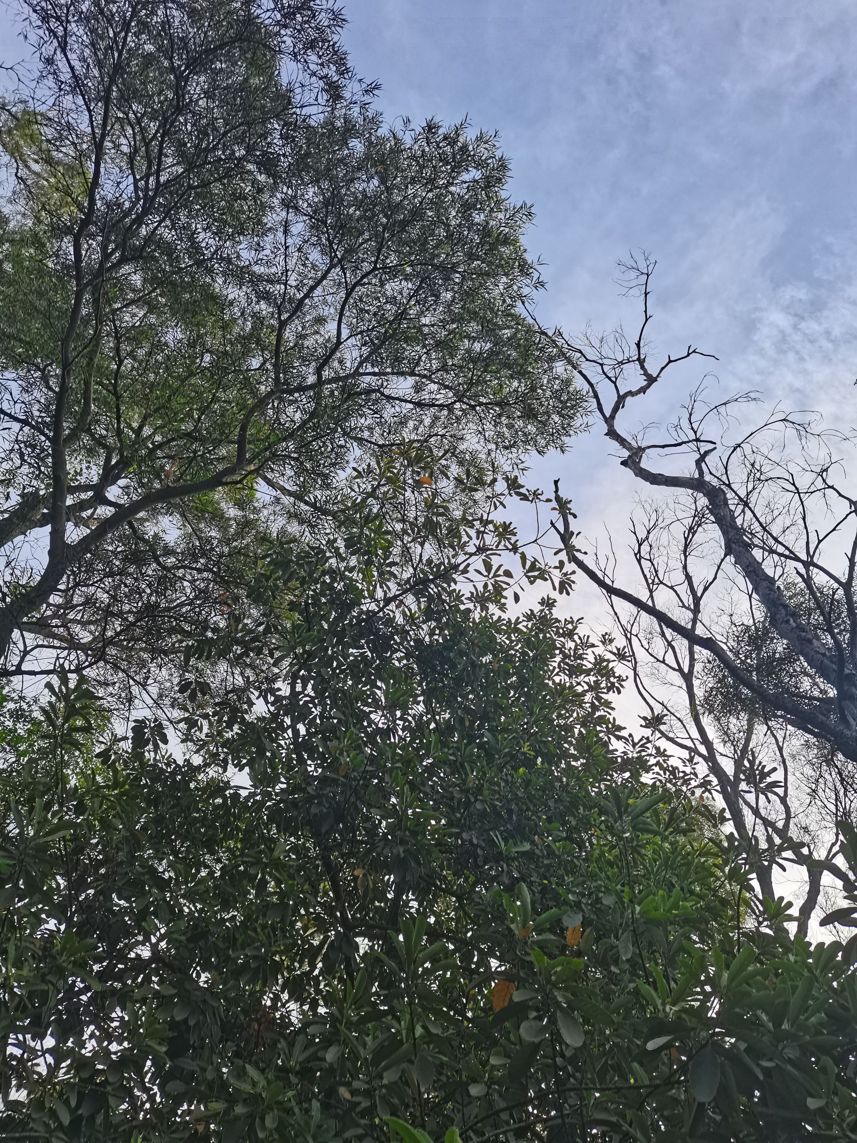 紫陌山风景区旅行图片 3