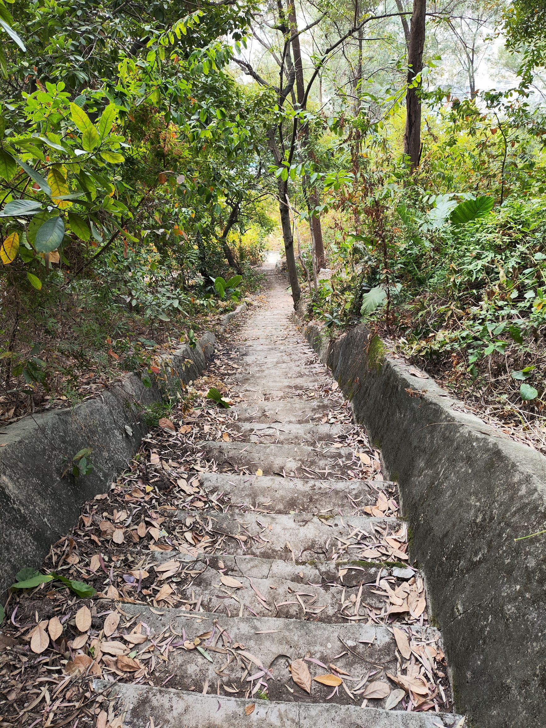 紫陌山风景区旅行图片 2