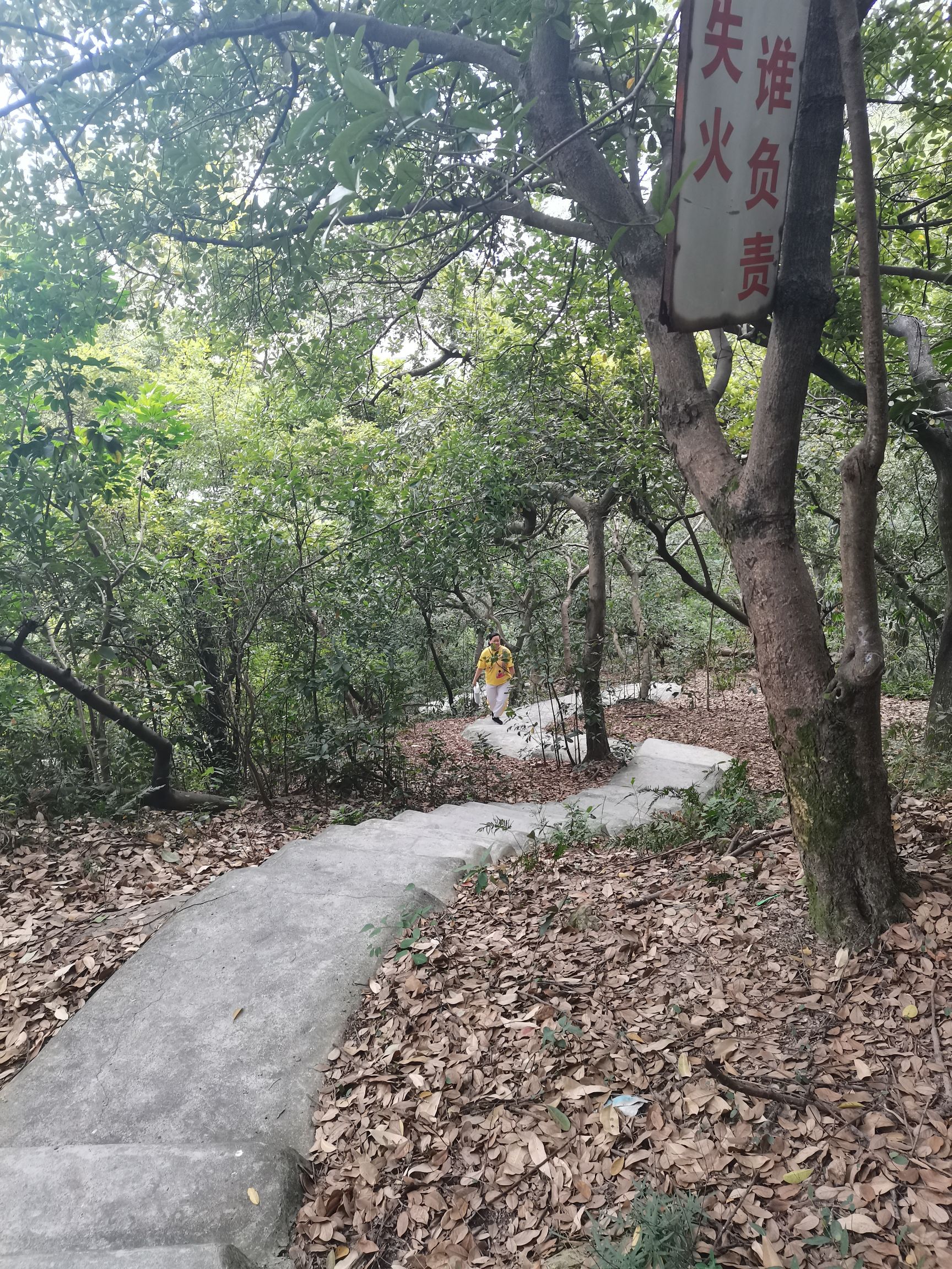 紫陌山风景区旅行图片 1