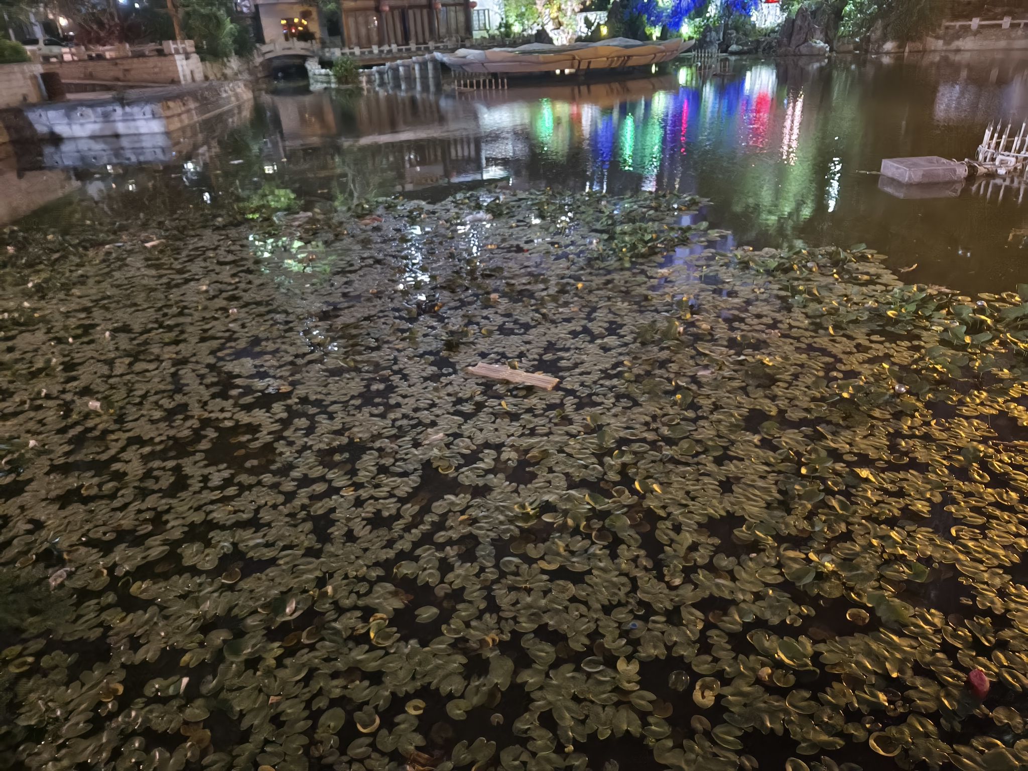 瓜籽池旅行图片 3