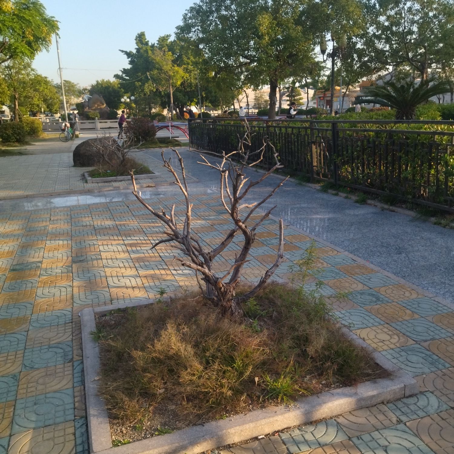 海滨文化广场旅行图片 2