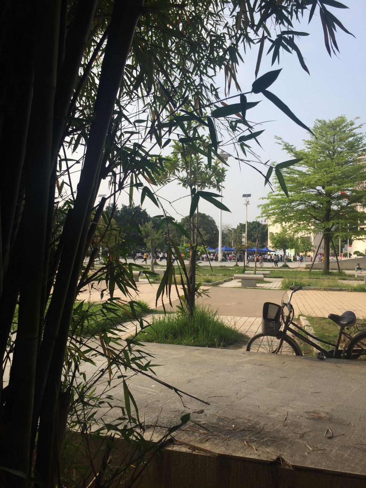 惠来文化广场旅行图片 3