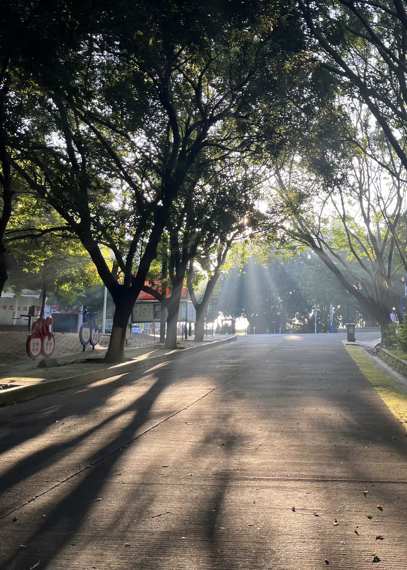 玉都公园旅行图片 2