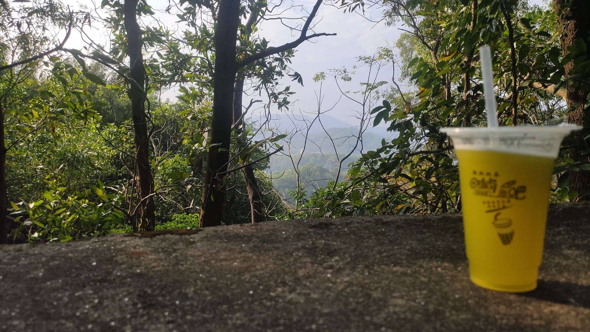 玉都公园旅行图片 2