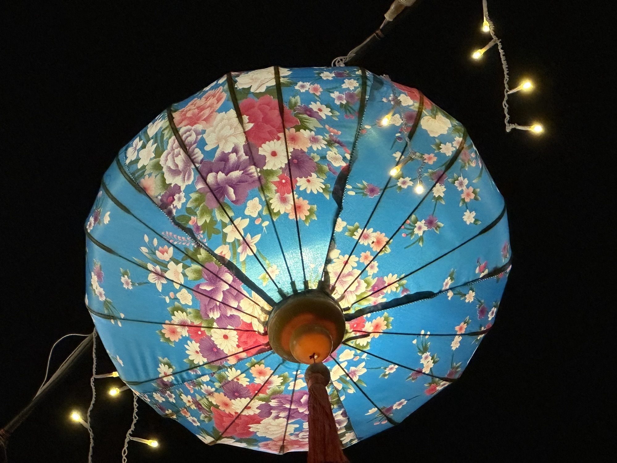 玉都公园旅行图片 1