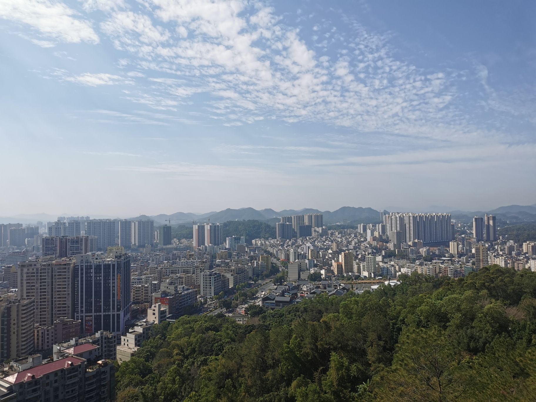 玉都公园旅行图片 3