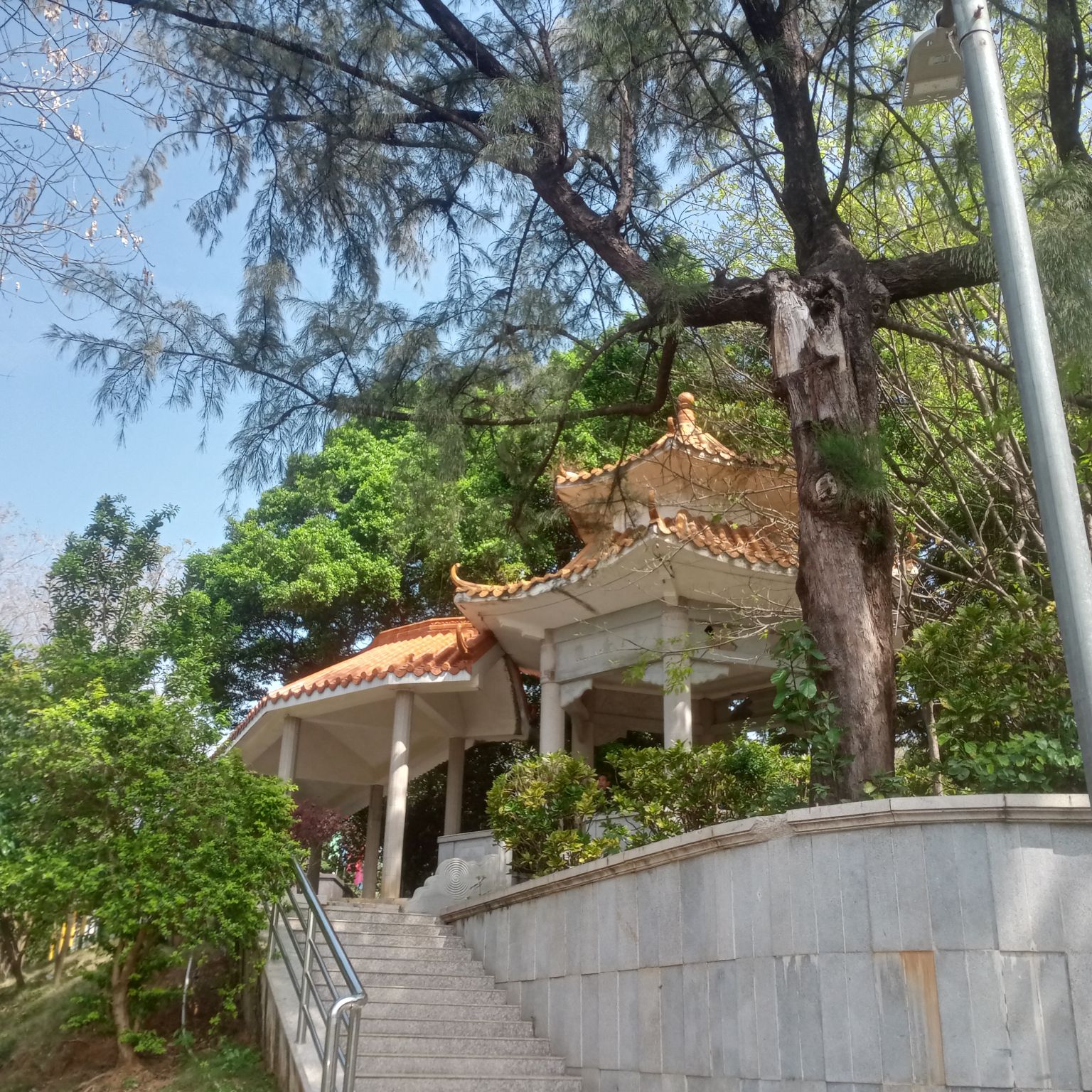 宝山公园旅行图片 1