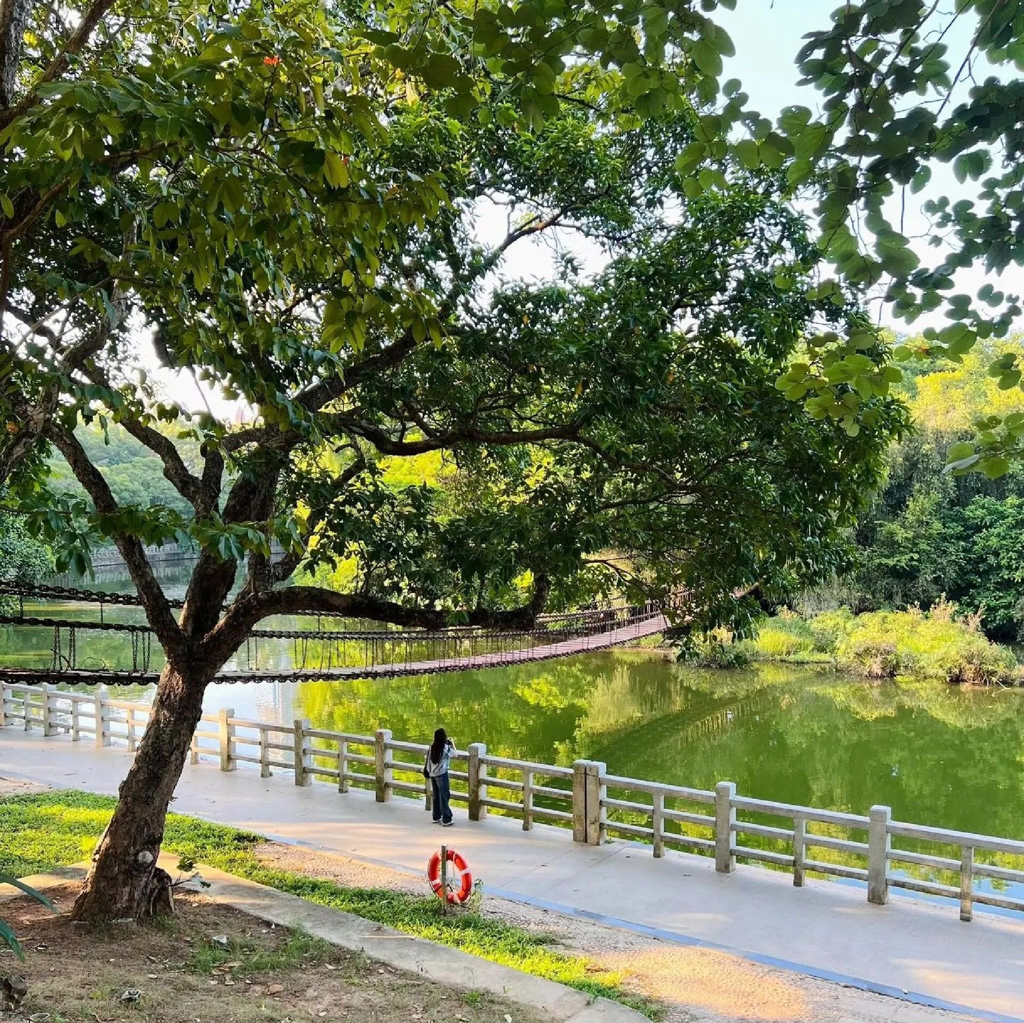 东湖公园旅行图片 2
