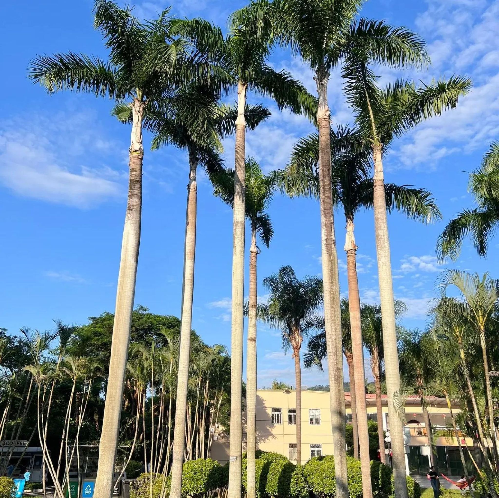 东湖公园旅行图片 1