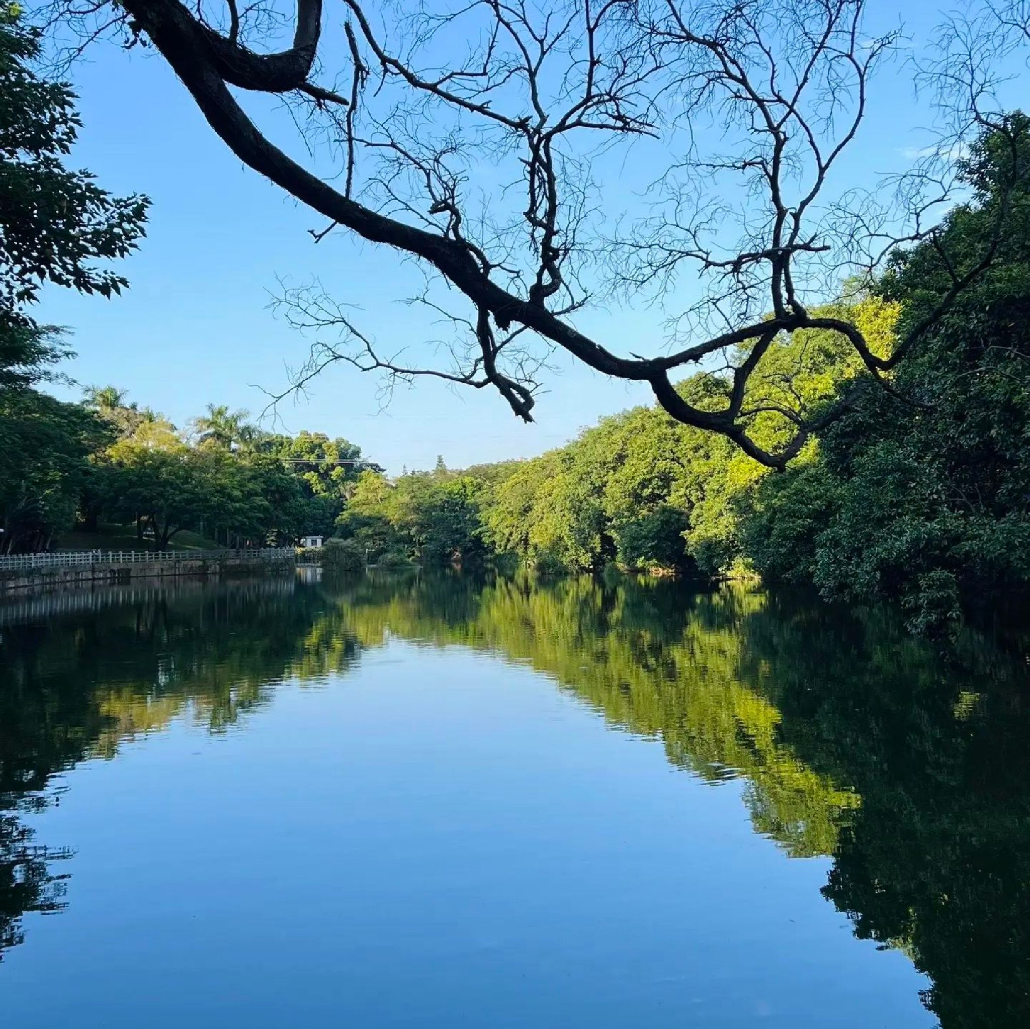 东湖公园旅行图片 3