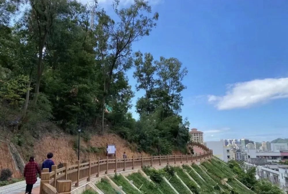 梅岗公园旅行图片 2