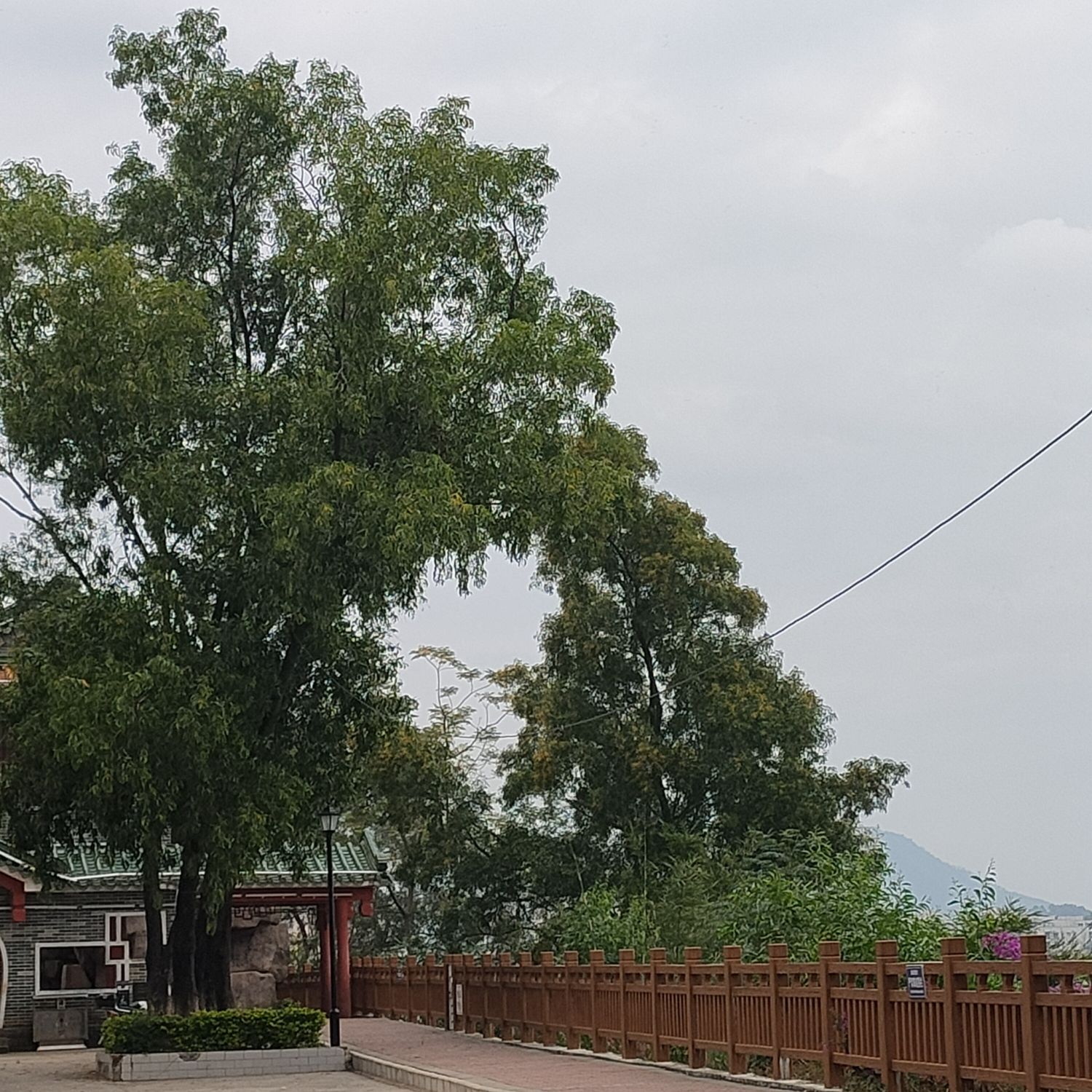 梅岗公园旅行图片 3
