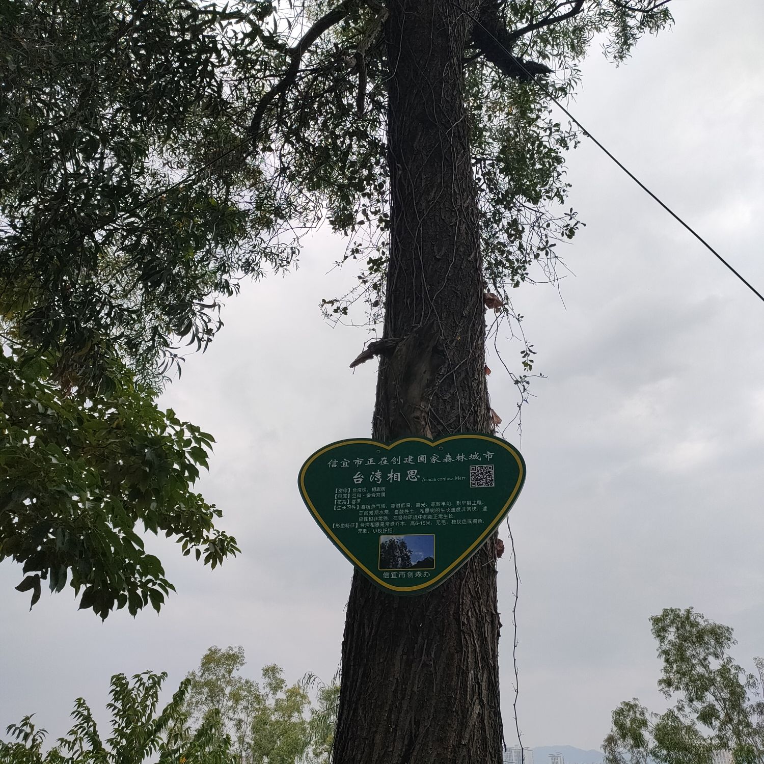 梅岗公园旅行图片 2