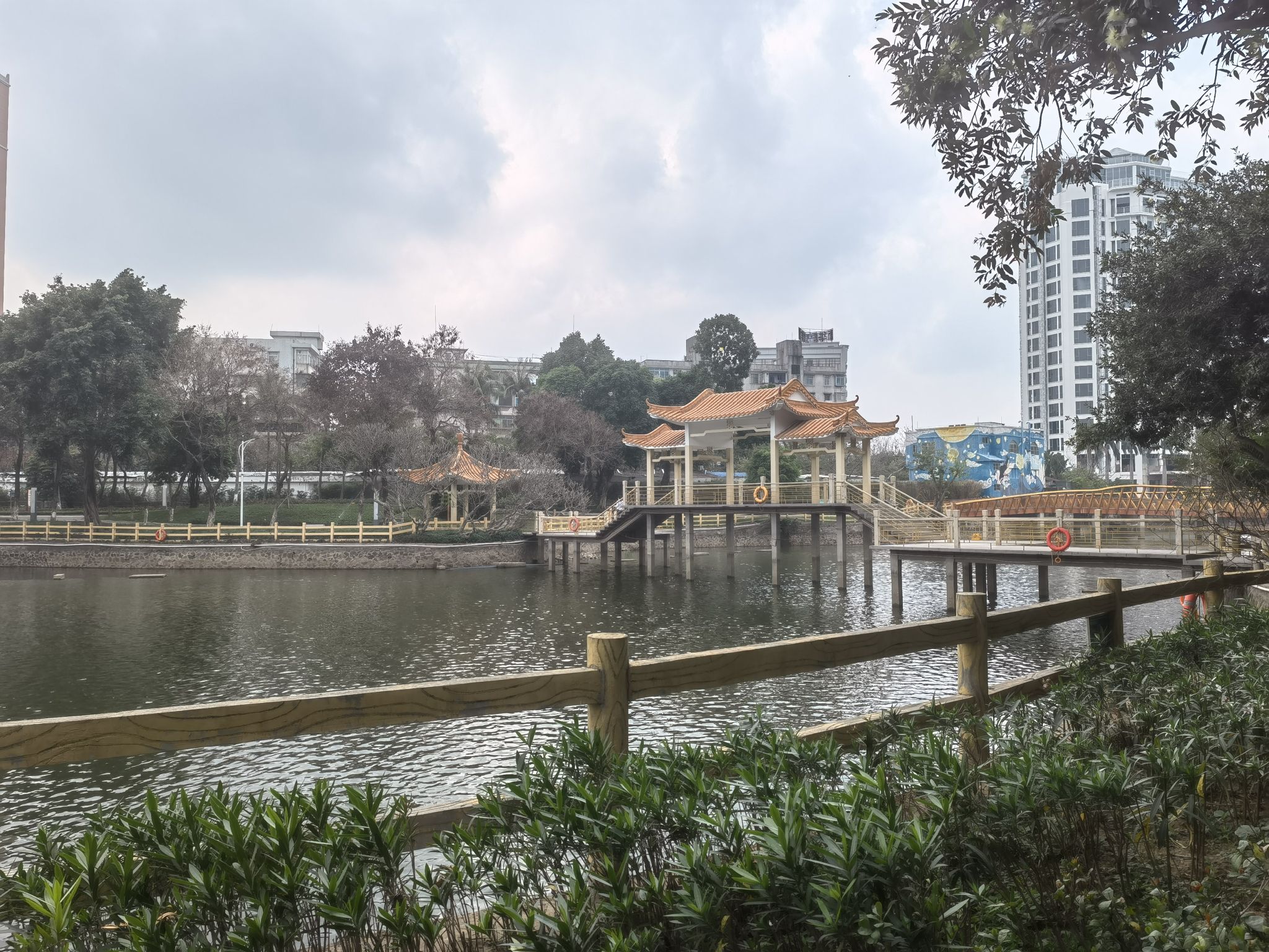 新湖公园旅行图片 3