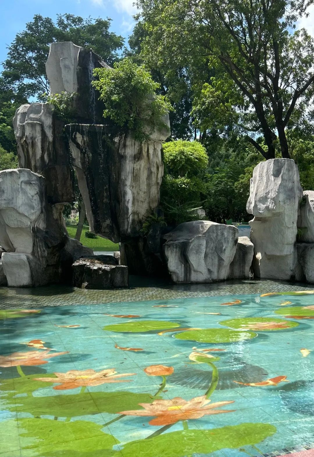 新湖公园旅行图片 3