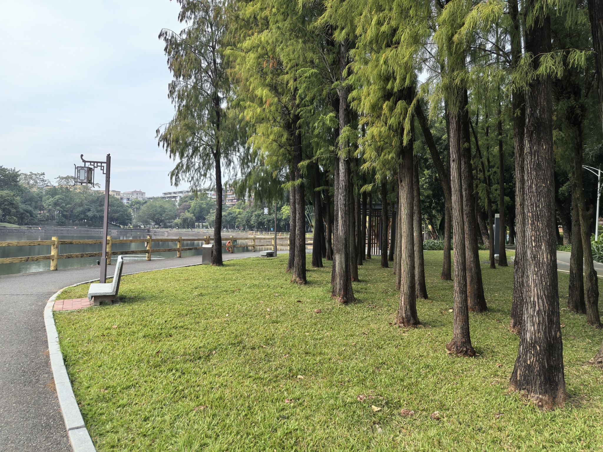 新湖公园旅行图片 3