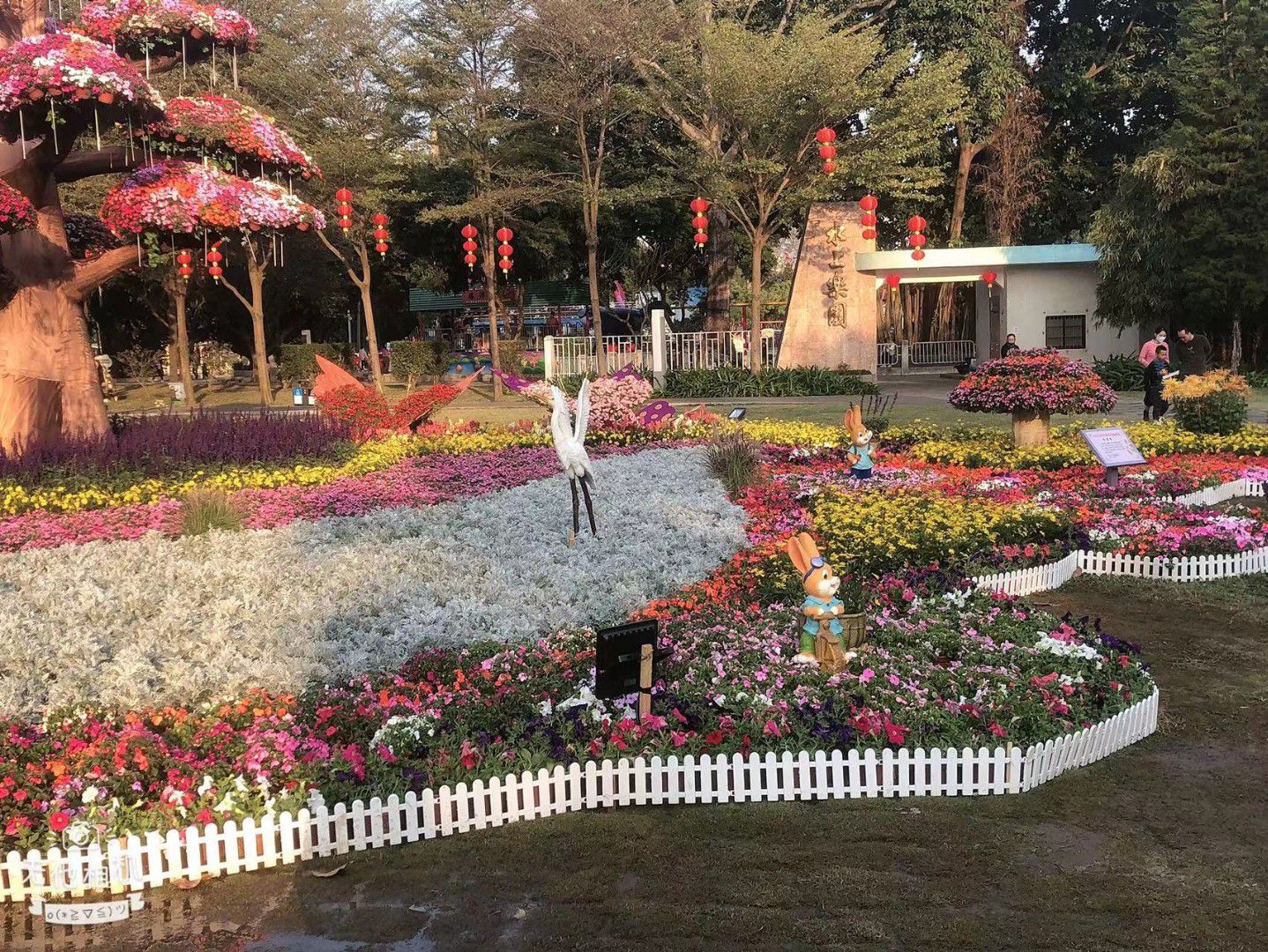 新湖公园旅行图片 2