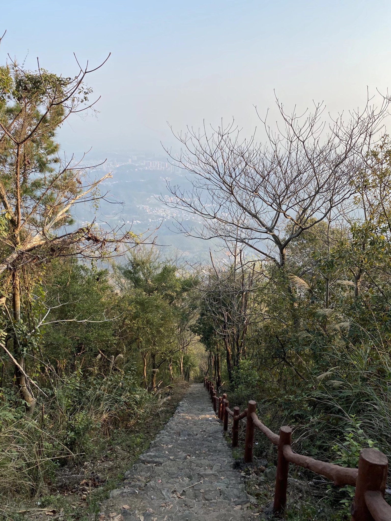 大仁山风景区旅行图片 2