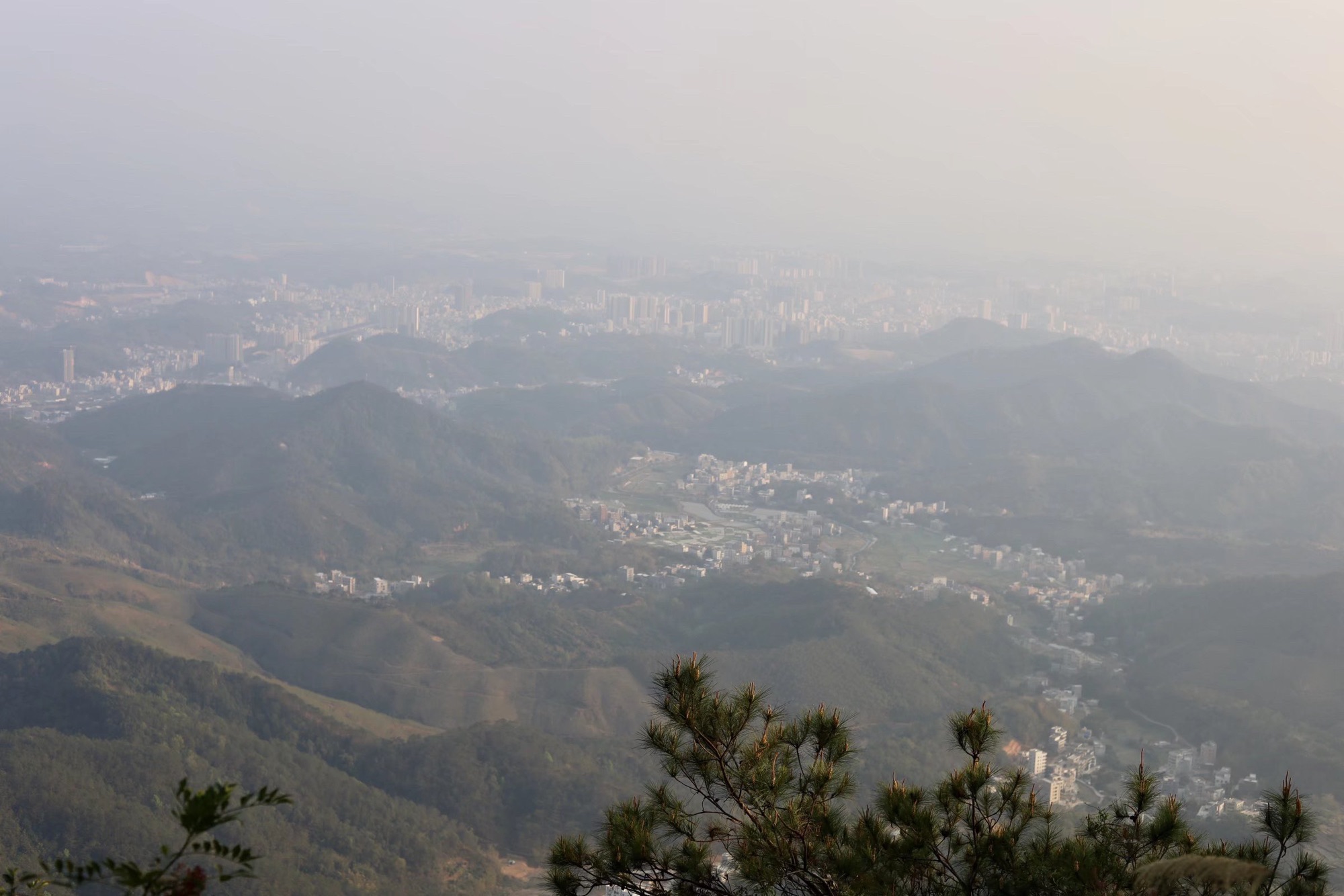 大仁山风景区旅行图片 1