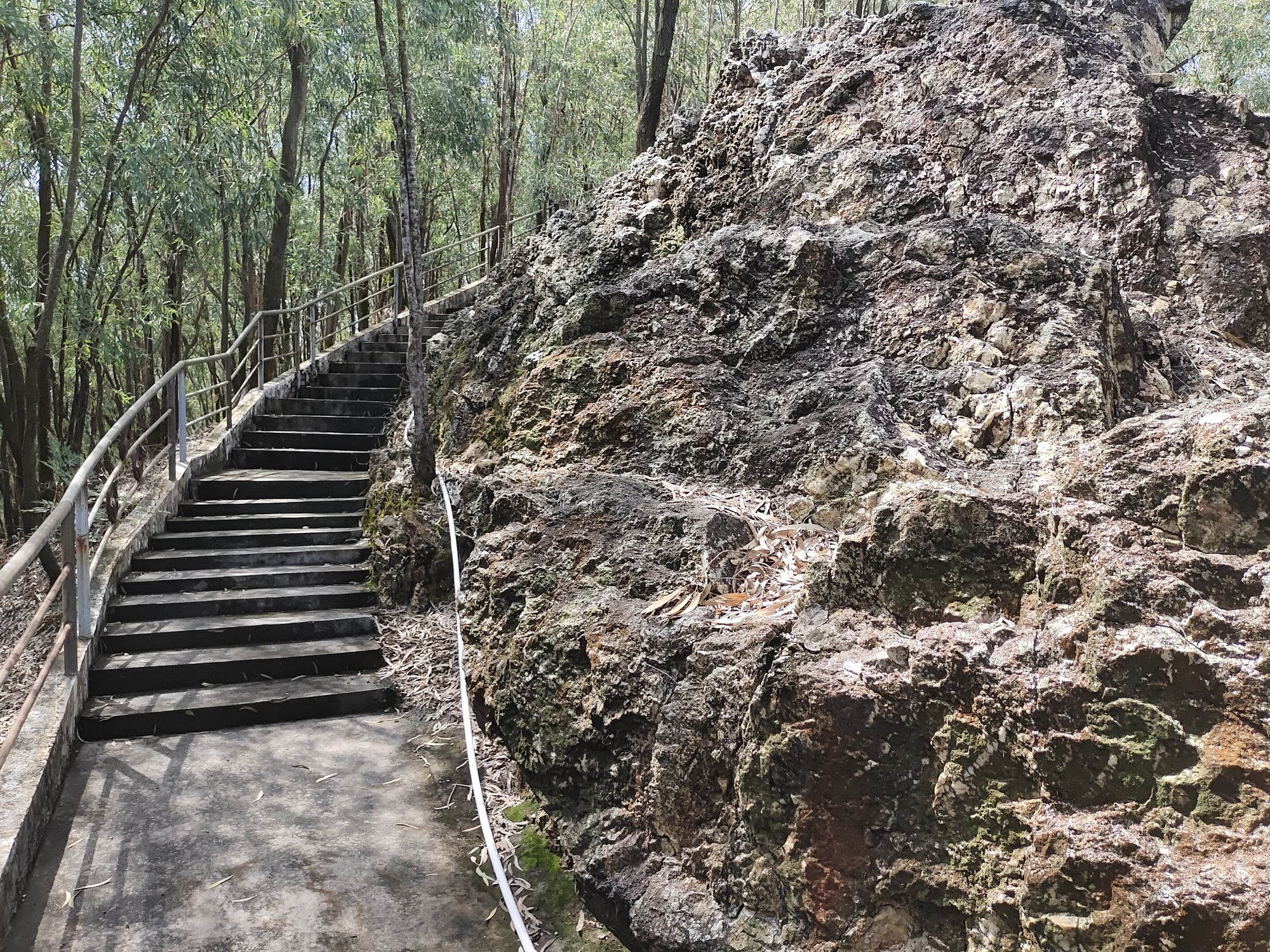后载岭