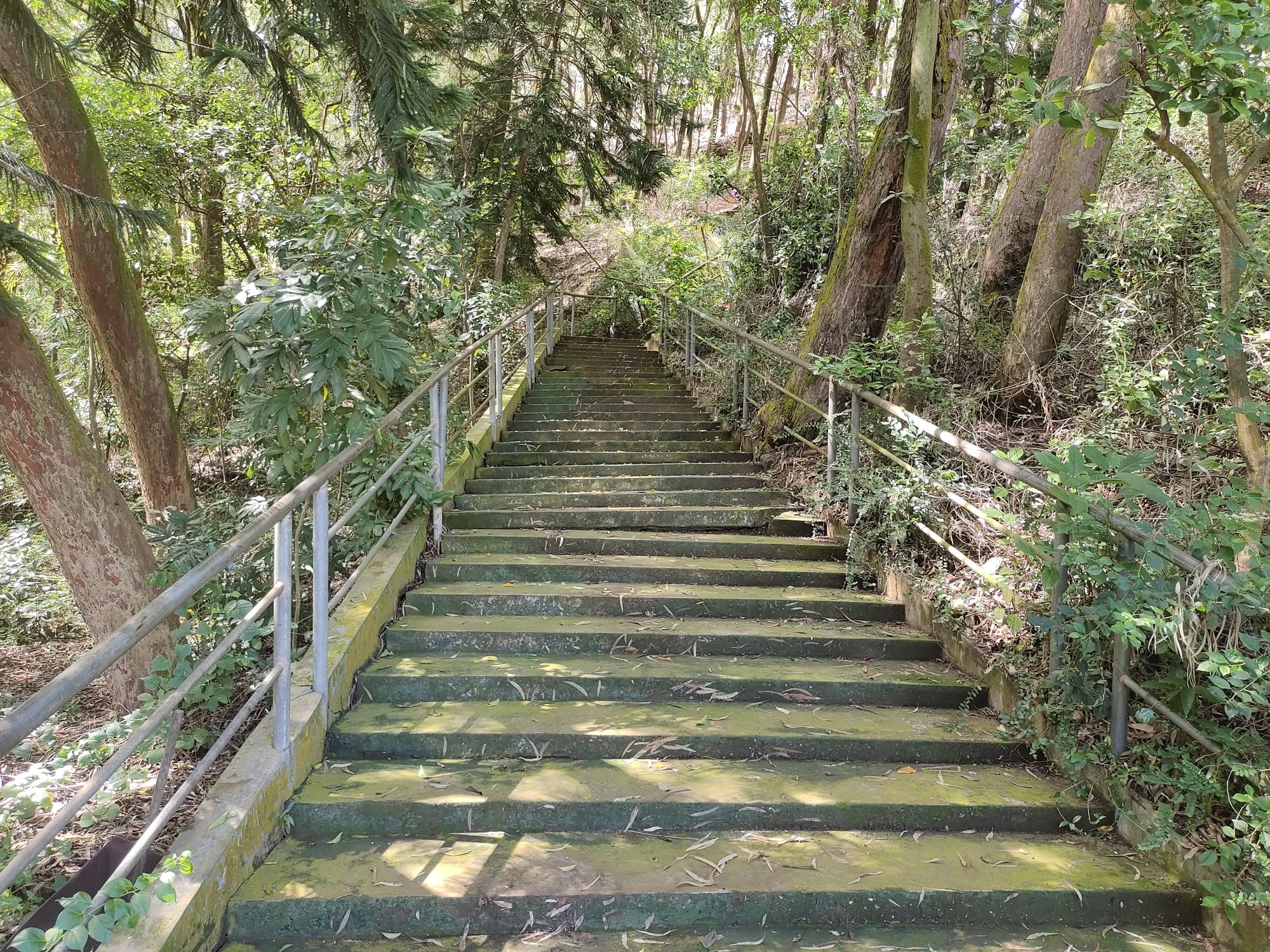 后载岭