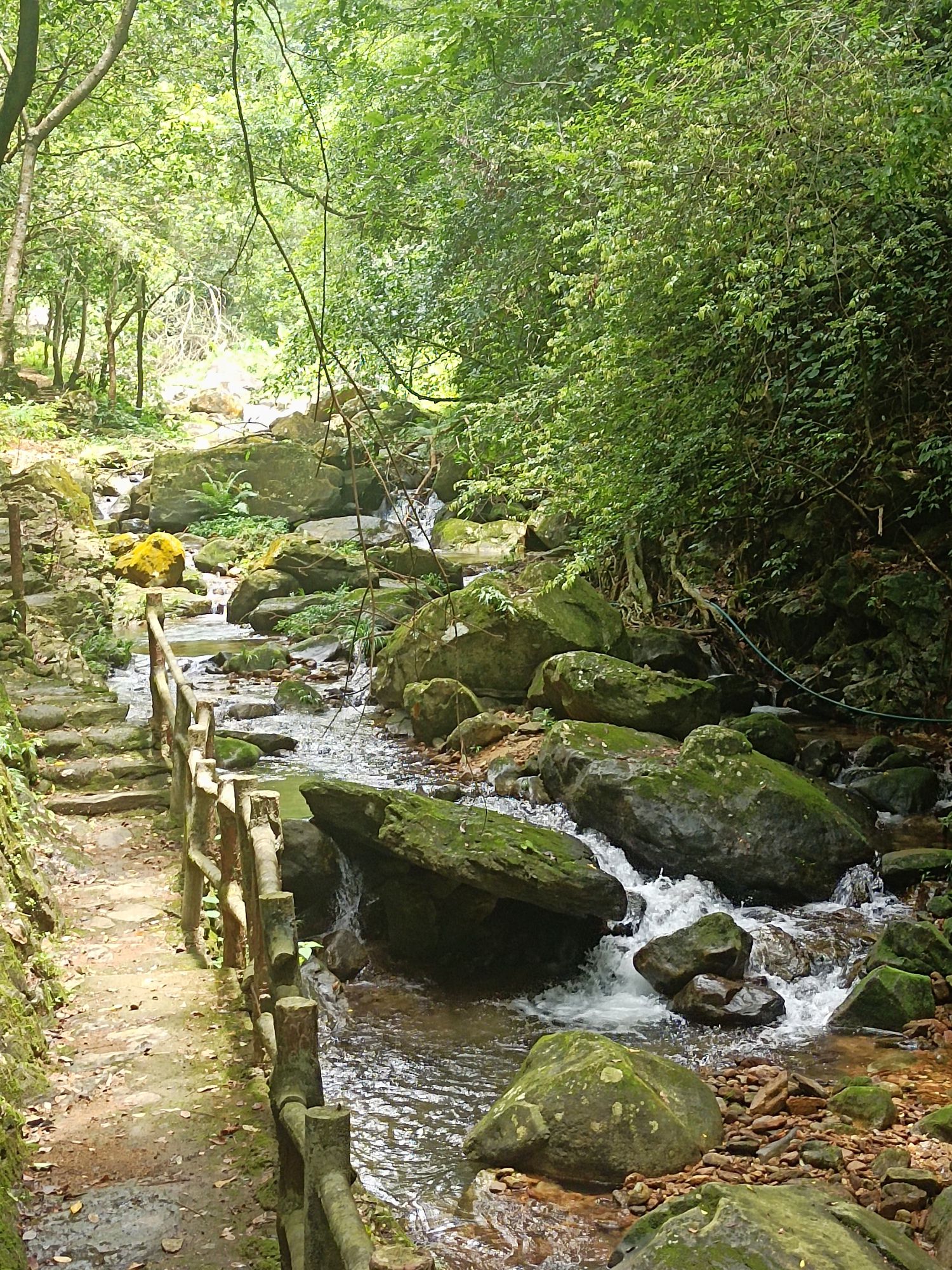 广东天马山旅游景区旅行图片 2