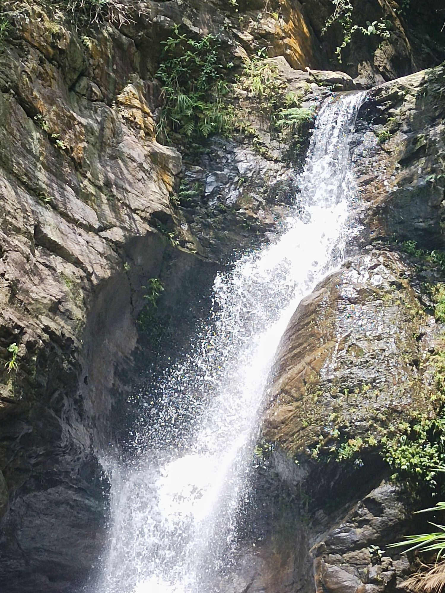 广东天马山旅游景区旅行图片 3