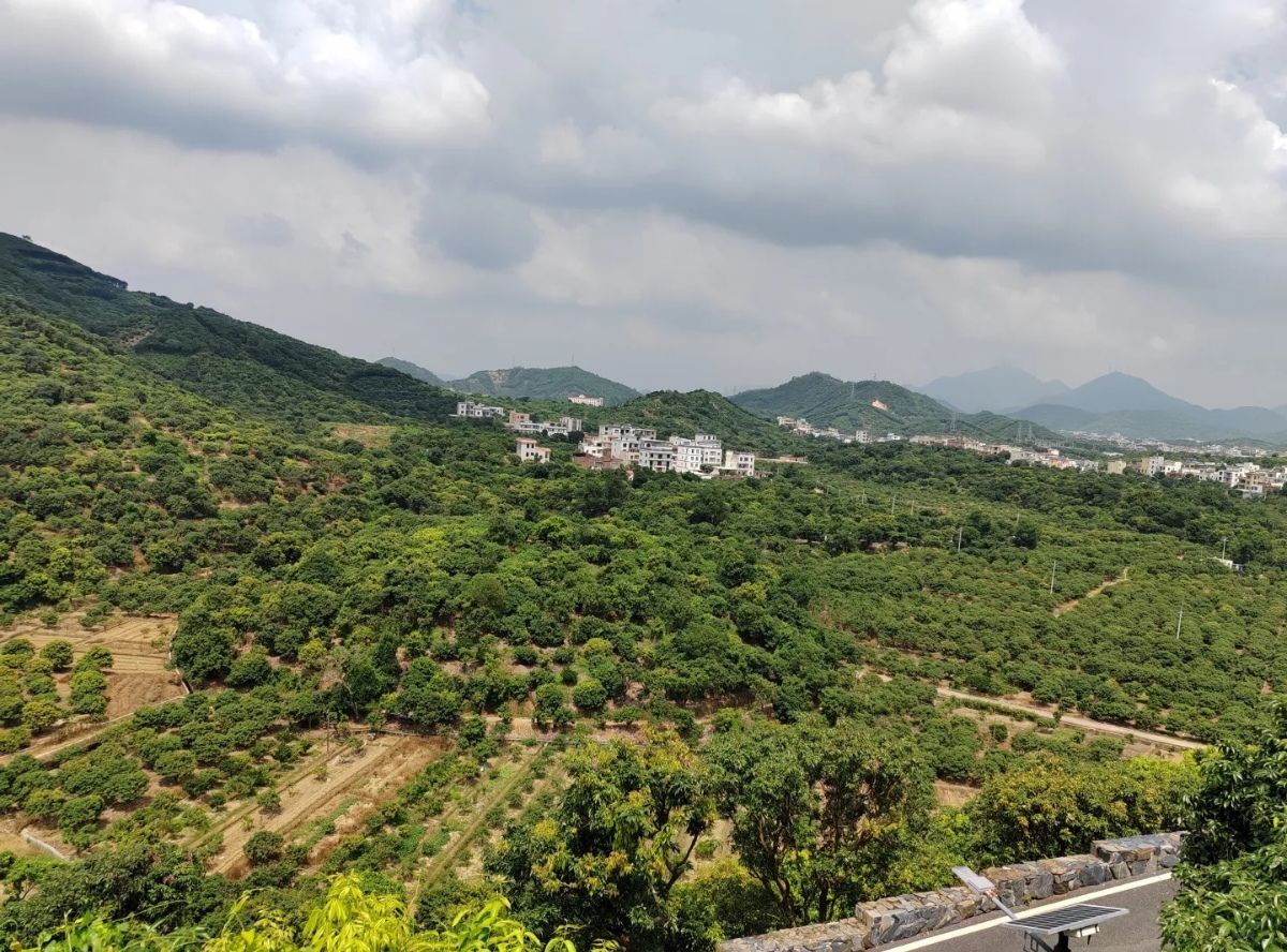 红荔阁旅行图片 3