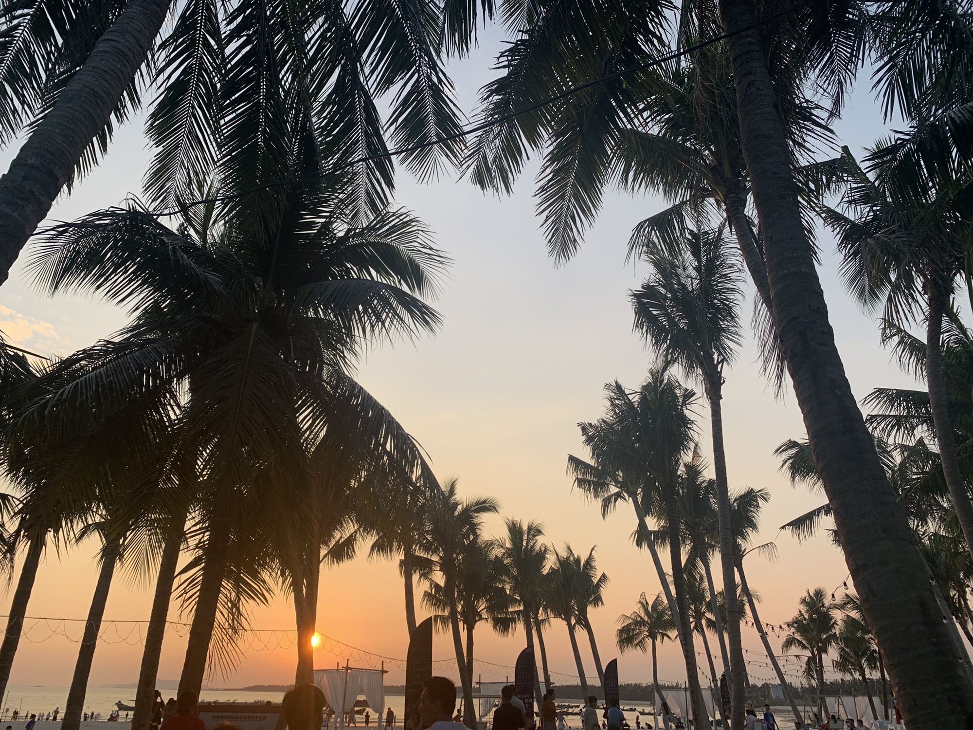 浪漫海岸旅游度假区旅行图片 2