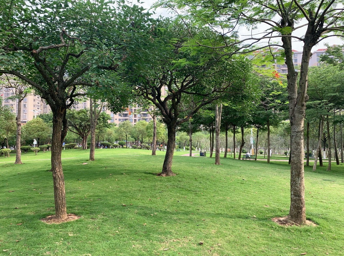 南香公园旅行图片 3