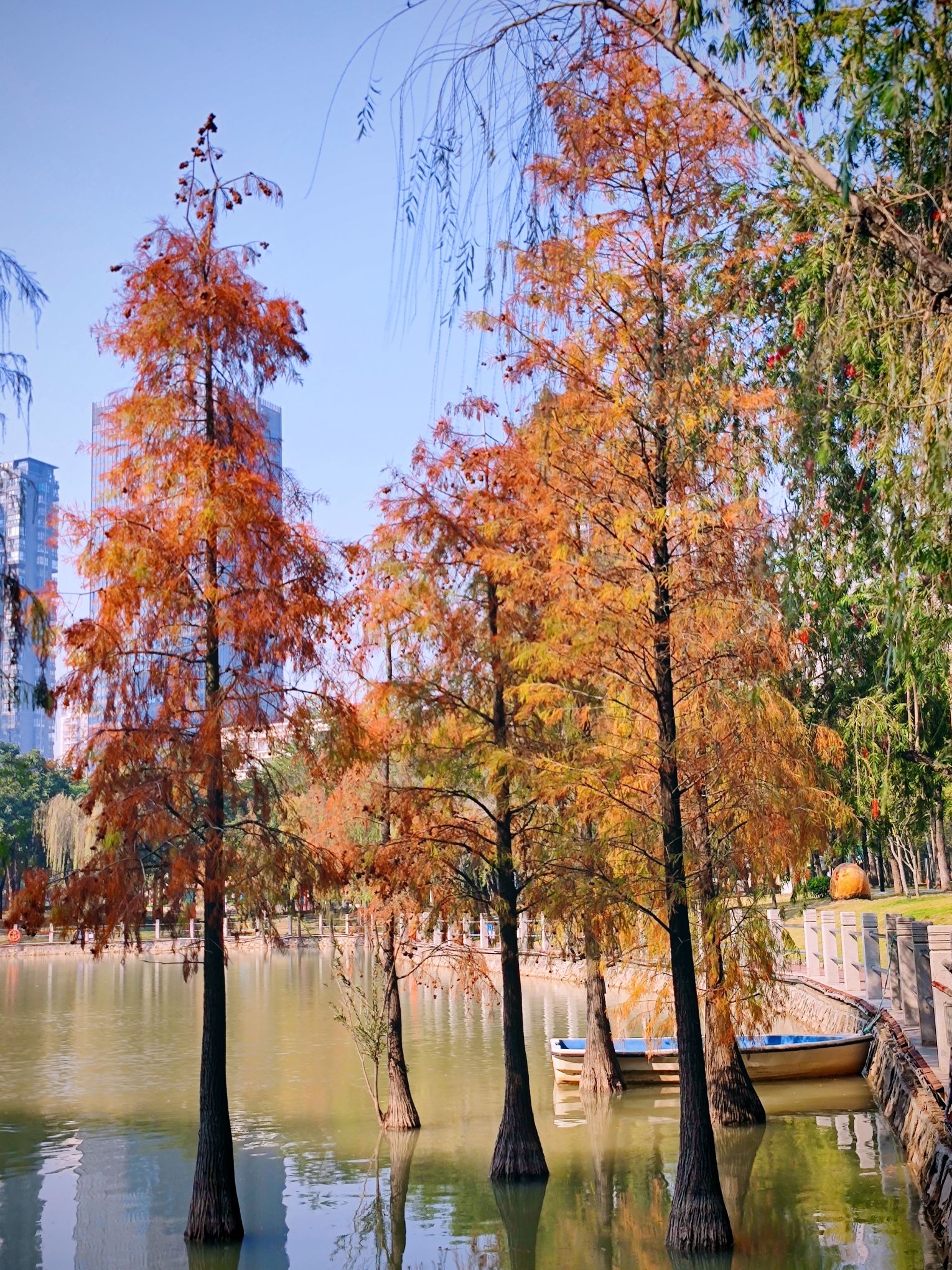 南香公园旅行图片 2