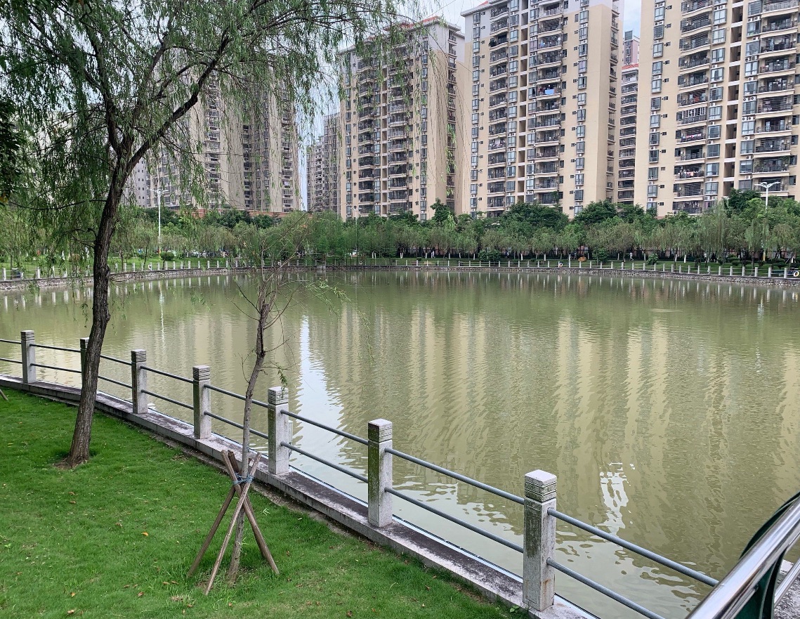 南香公园旅行图片 1