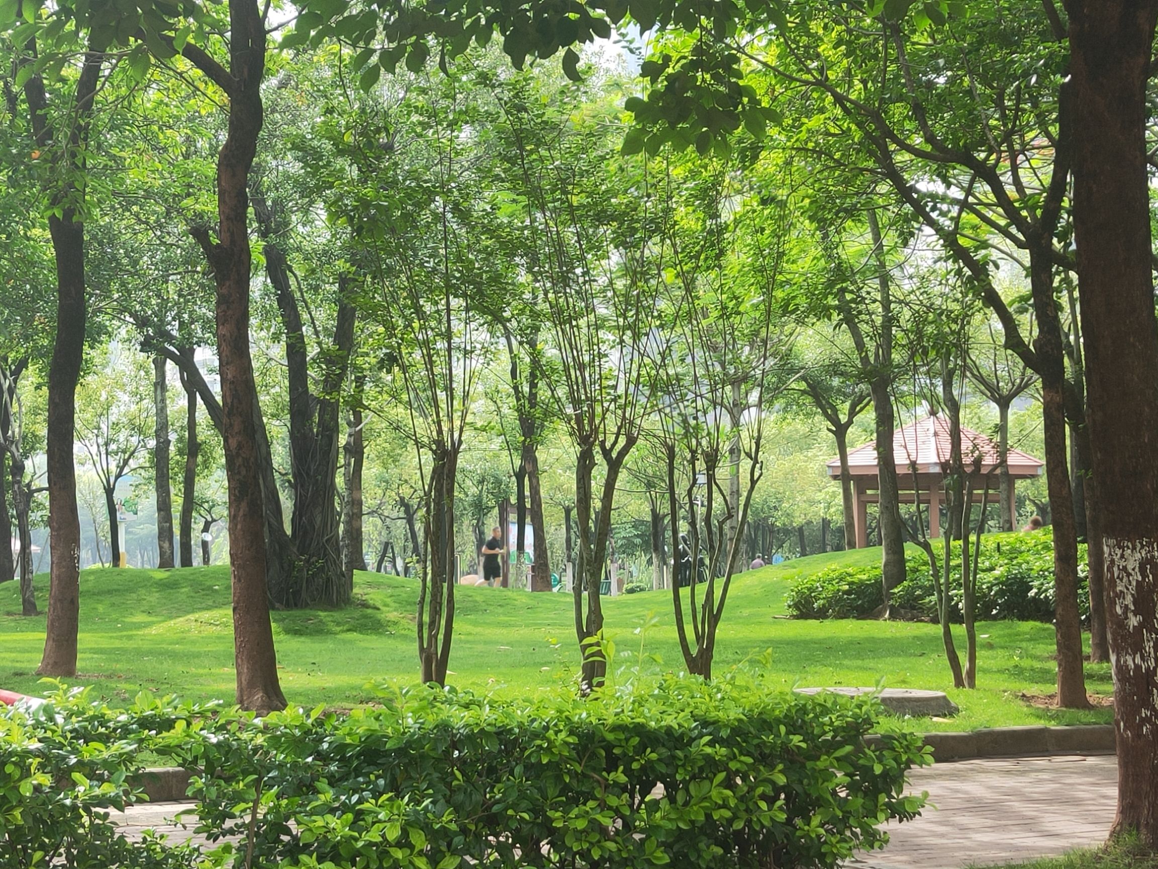 南香公园旅行图片 1