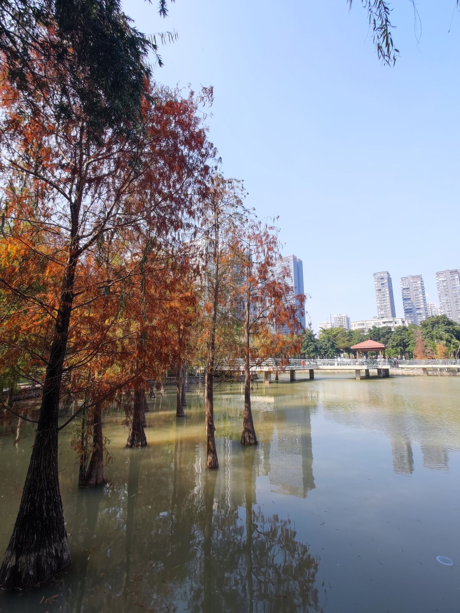 南香公园旅行图片 1