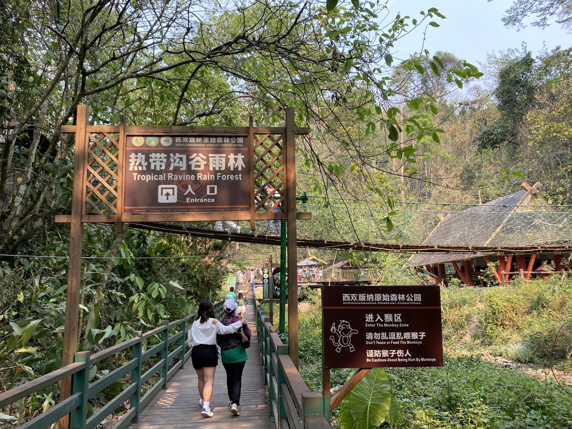 西双版纳热带雨林谷