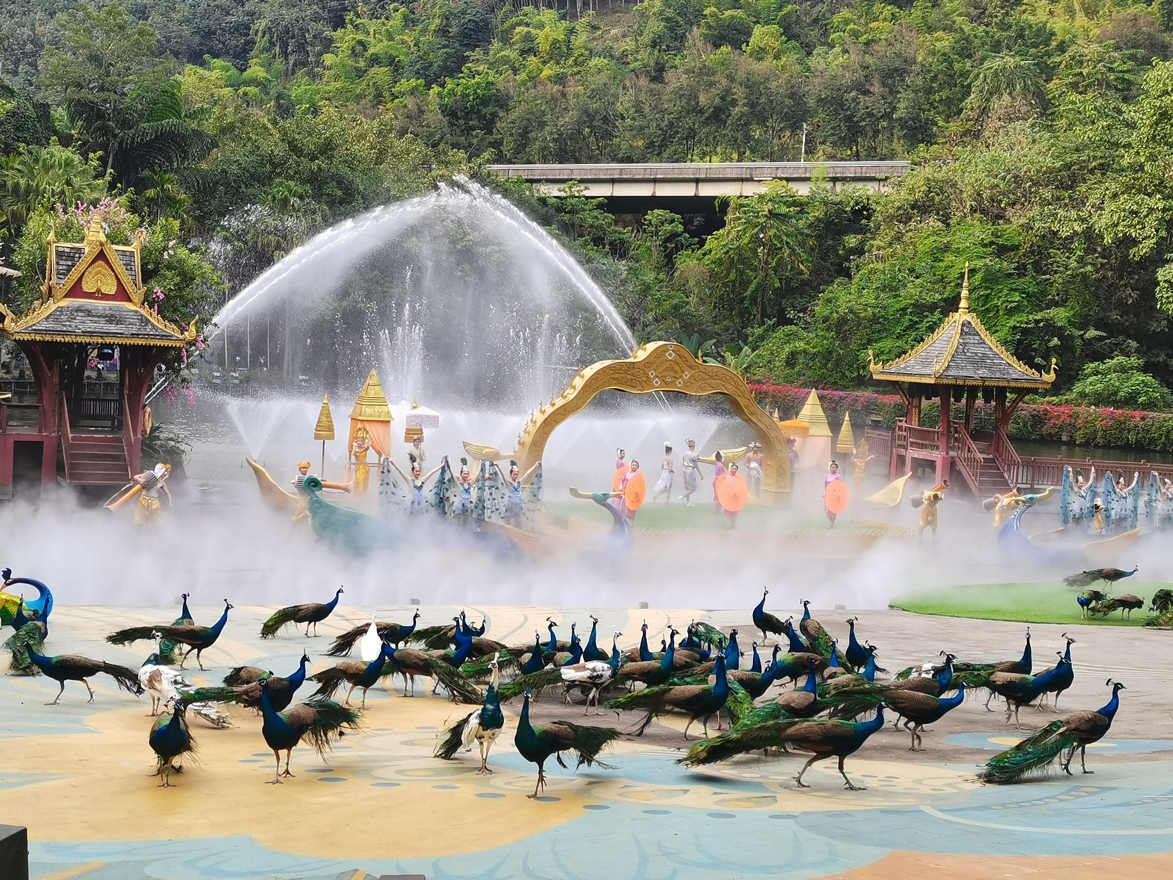 西双版纳热带雨林谷