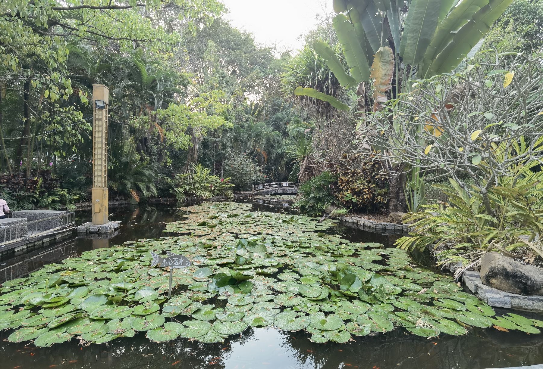 西双版纳滨江公园