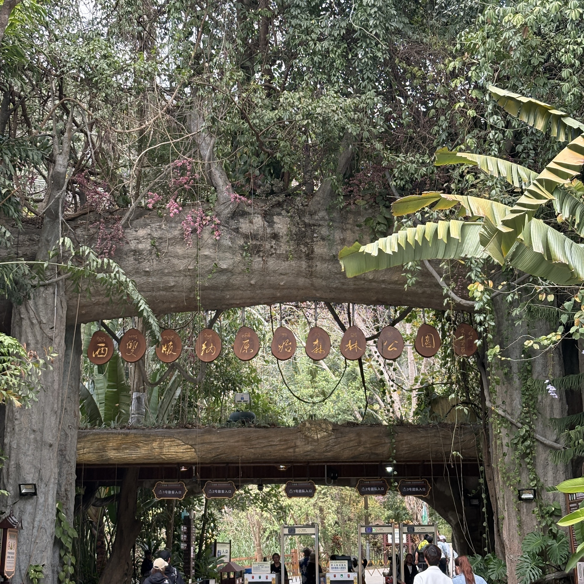 西双版纳原始森林公园售票处