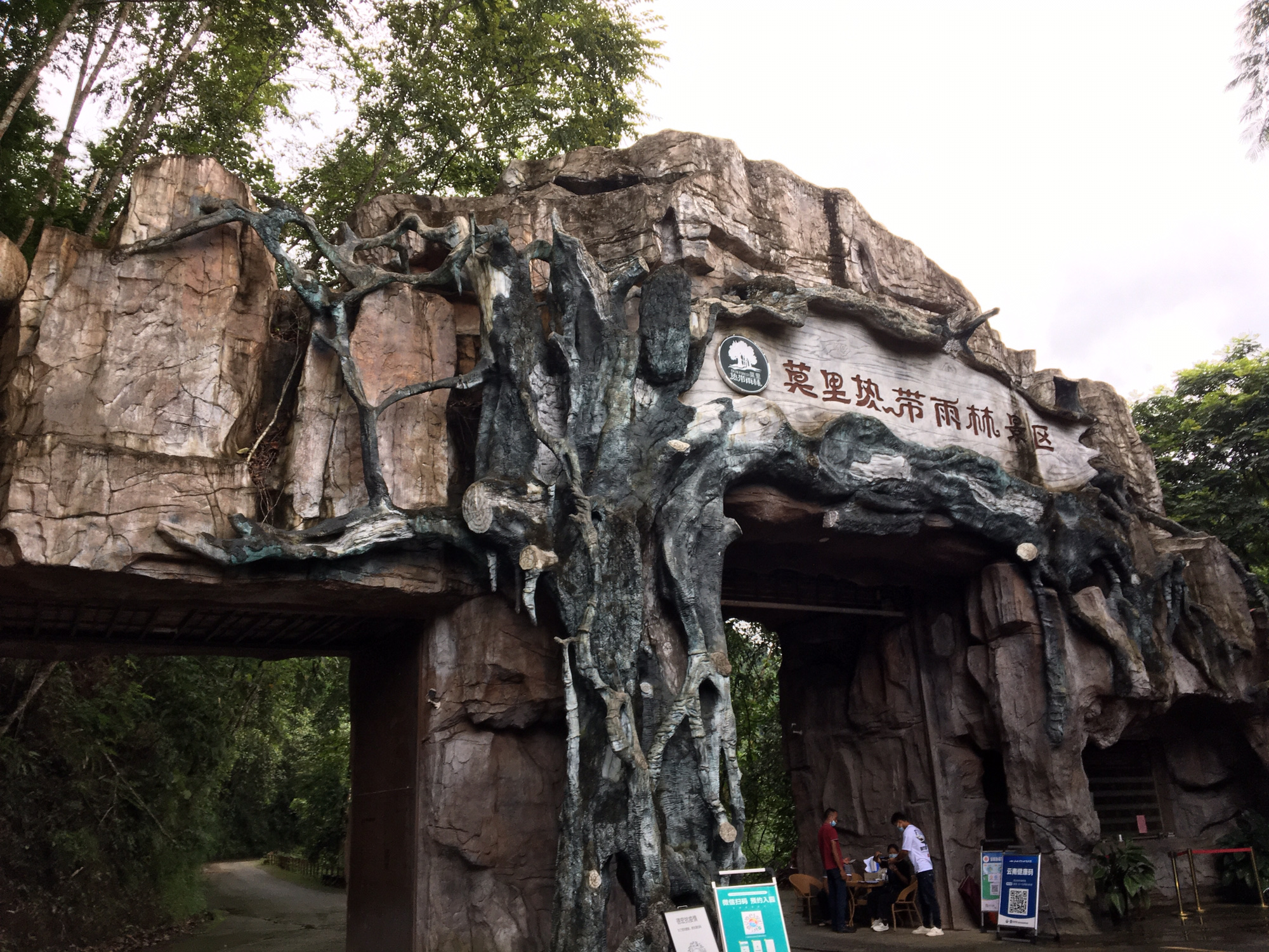 莫里热带雨林风景区