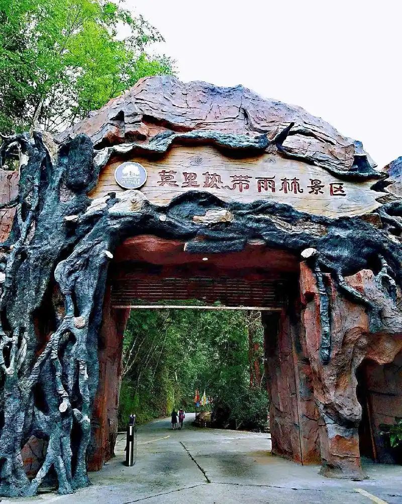 莫里热带雨林风景区