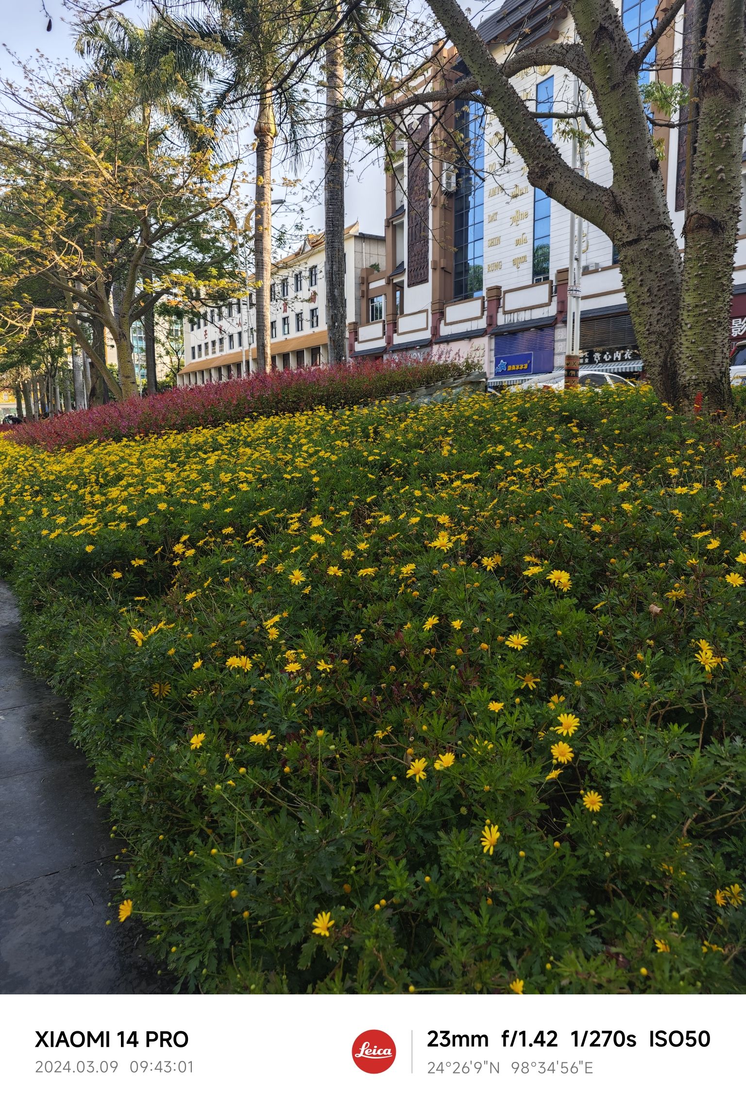 芒市街心花园