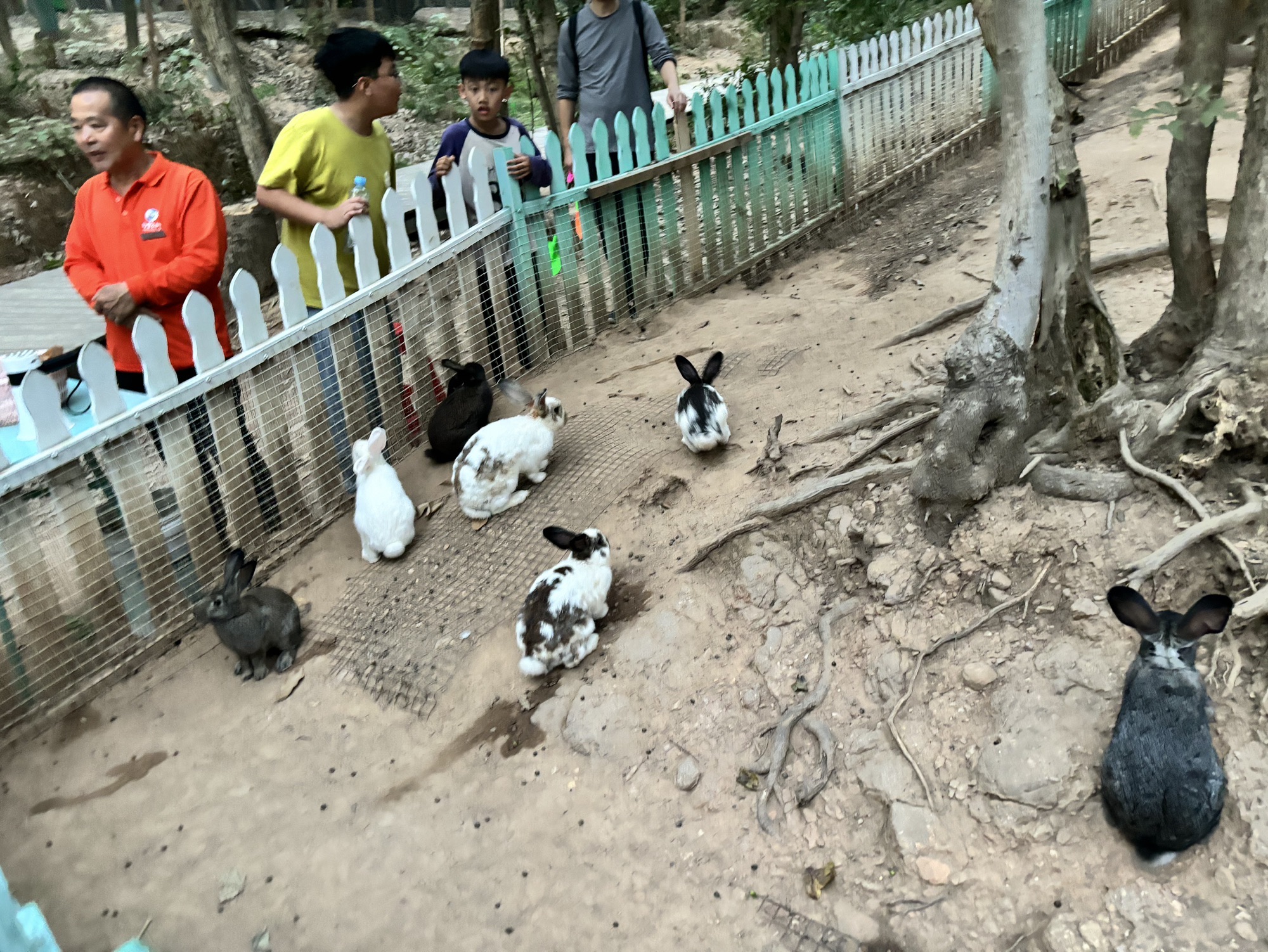 白鹤湖名胜风景区旅行图片 1